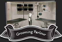 Grooming Parlour